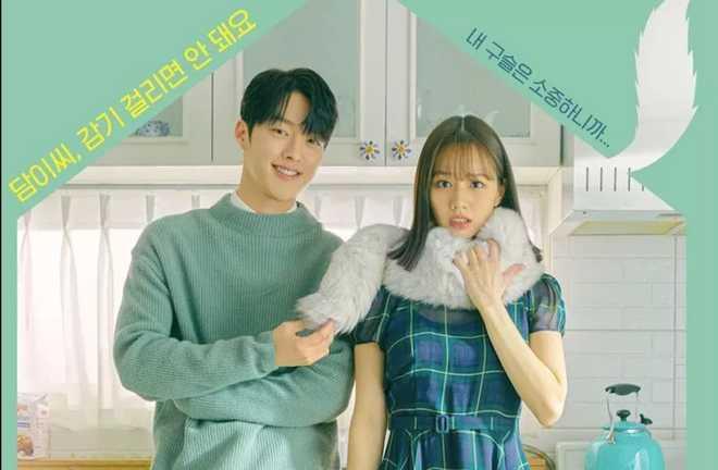 Bạn Cùng Phòng Của Tôi Là Gumiho