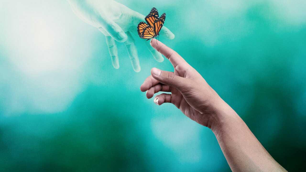 Sống Sót Sau Cái Chết