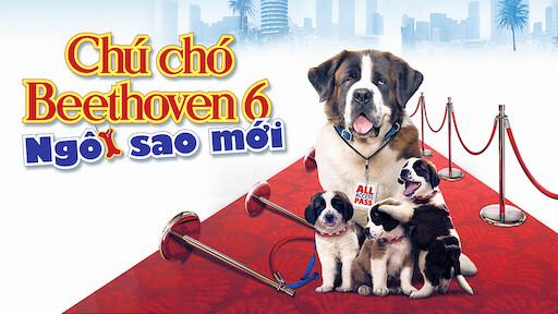 Chú chó Beethoven 6: Ngôi sao mới