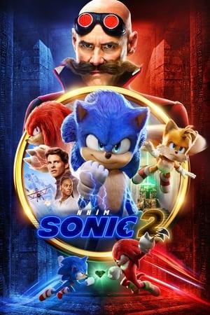 Nhím Sonic 2